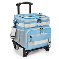 Sac isotherme pliable personnalisé pour 48 canettes, étanche, pour courses, plage, pique-nique, avec roulettes, grande capacité