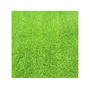 מותאם אישית מלאכותי סינטטי דשא שטיח
