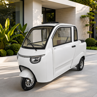 Nouvelle Arrivée Véhicule Électrique Automatique à Trois Roues 2 Places avec Cabine Fermée, Batterie au Plomb, Chariot Utilitaire pour Jardin et Ferme en Promotion