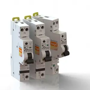 Manufacturers 2 pole 80A 100 Amps miniature smart circuit breaker safety breaker BH bolt-on type mcb micro circuit breaker price