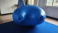 Combinaison gonflable en PVC personnalisée Beile à motif de bleuets, double couche, pour adultes, pour fêtes en plein air, jeux de jardin, modèle de jouet numérique imprimé pour adultes