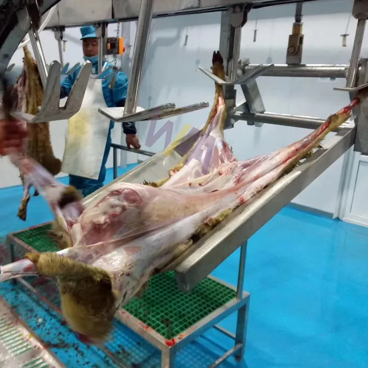 Linha de processamento Halal de carne para abate de cordeiro, bom design, para equipamentos de matadouro