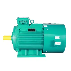 Frequency Control Three Phase Asynchronous Motors YPT Series High Quality Motors