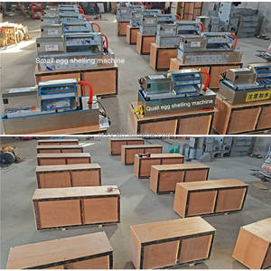 Machine à peler les œufs de poulet la plus populaire en acier inoxydable – Équipement de décorticage <span class=keywords><strong>pour</strong></span> appareils de cuisine - Product Image 6