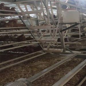Endüstriyel a-tipi otomatik tavuk kümesi ev büyük katmanlı Broiler tavşan kafesi tavuklar döşeme için ucuz yeni durum çiftlik kaynağı - Product Image 6