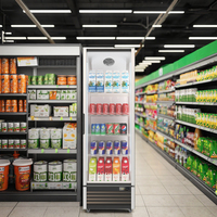 Réfrigérateur commercial à porte vitrée simple pour boissons, avec compresseur à montage inférieur et cadre de porte en aluminium.