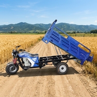 Tricycle cargo à 3 roues 200cc fabriqué en Chine, moteur à faible vibration et faible bruit, capacité de charge de 1200-1500 kg pour l'agriculture