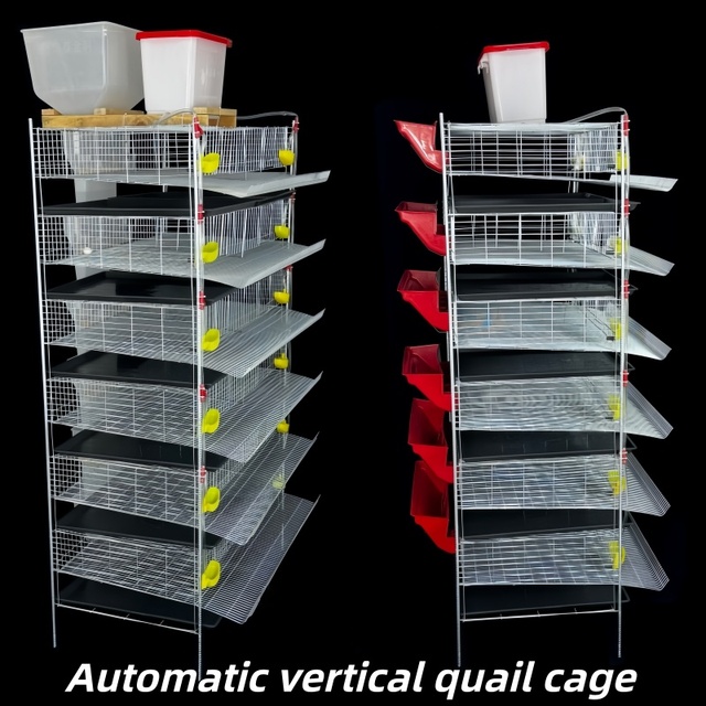 Automatic Quail Feeding Cage Automatic Manure Cleaning Quail Cage Automatic Poultry Breeding Cage System