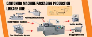 Automatische Voeding Tablet Capsule Blister Pil Plaat In Kartonnen Doos Zachte Buis Verpakking Kartoning Machine