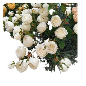 Bouquet de roses artificielles Queyiyi, fleurs en soie de 63 cm, décoration de mariage, décoration de la maison, toile de fond pour la photographie - Product Image 5