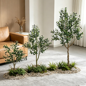 <span class=keywords><strong>Olivier</strong></span> en pot réaliste pour la décoration intérieure des appartements minimalistes et des bureaux – Amélioration de l'ambiance végétale - Product Image 2