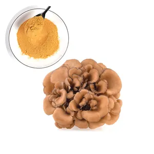 Hot Sale Organic Maitake Extract Powder 30% Polysaccharides reishi cordyceps Maitake Mushroom Extract Grifolan Grifola Frondosa