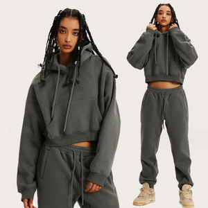 New Arrival Winter Autumn Cropped Breathable Lined Hoodie Sweatshirt Jogger Sets Women Long Sleeve Workout Crop Top Hoodie - Product Image 2