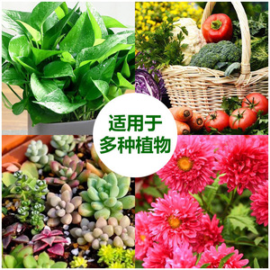 สารละลายธาตุอาหารพืช 500 มล. สำหรับพืชในร่มและดอกไม้กระถาง - Product Image 4