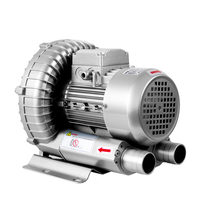 Souffleur à canal latéral Vortex, souffleur électromécanique - faible bruit, multifonctionnel, alimenté par batterie, anticorrosion