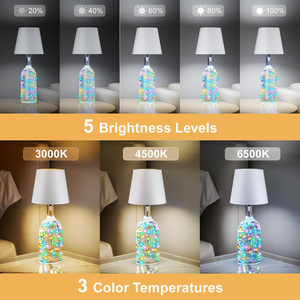 Wireless Rechargeable Wine Bottle Lamp,RGB <b>String</b> <b>Lights</b> Touch Table Lamp with Remote & Timer,Dimmable Cordless <b>Light</b> for Party - Product Image 2