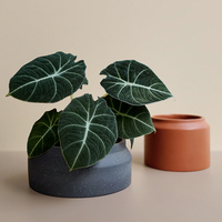Moderne 3 tailles forme ronde intérieur extérieur décor ciment rustique terre cuite produits pour la maison et le jardin pots de fleurs jardinières