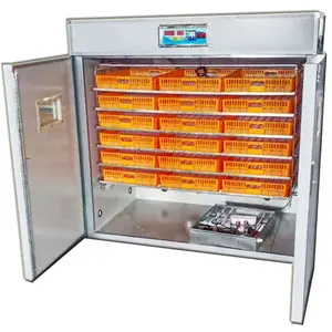 High Quality China Exported 1584 Automatic Chicken Egg Poultry Egg Incubator Hatching Machine