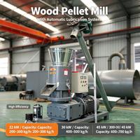 Machine de production de granulés de bois lubrifiée automatiquement, machine de production de granulés de biomasse à partir de sciure de bois, 200 à 700 kg par heure