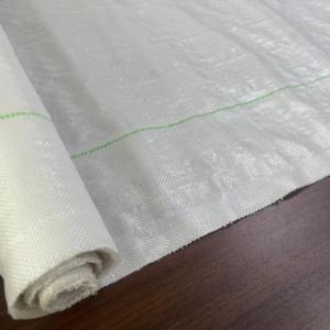 Toile de paillage anti-mauvaises herbes 100 g/m² pour fraises, géotextile en PP tissé, vente directe usine - Product Image 6