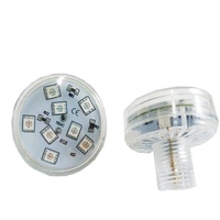 Lampu Taman Hiburan Langsung dari Pabrik Lampu Piksel Led E14 Lampu Lapangan RGB 24V