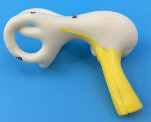 Modèle d'anatomie du canal semi-circulaire de l'oreille humaine modèle de labyrinthe de l'oreille intérieure pour la recherche médicale et le sujet de l'oreille - Product Image 4