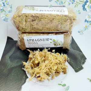 Terre de rempotage de mousse de sphaigne de luxe de 5.3oz pour plantes succulentes carnivores et orchidées-Sacs écologiques - Product Image 2