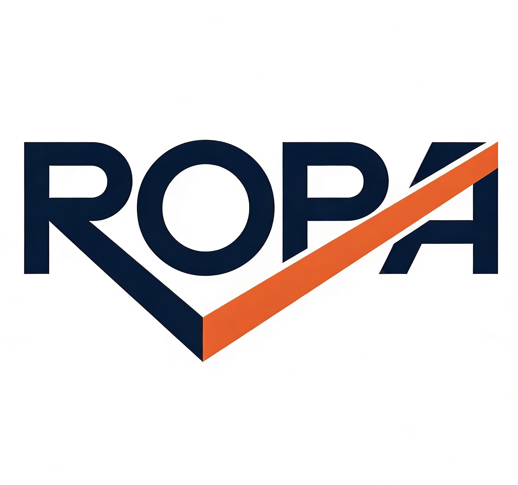 Ropa (guangzhou) Supply Chain Co., Ltd. logo