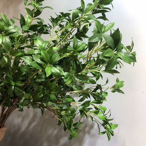 <span class=keywords><strong>Pieris</strong></span> <span class=keywords><strong>japonica</strong></span> artificielle en plastique, verdure artificielle pour aménagement intérieur, décoration de sol, salon, branche de kalmia japonaise, fleurs artificielles - Product Image 2