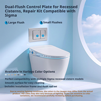 Plaque de chasse d'eau WC à double bouton GE07-013A0069, design moderne, surface plane 245x164mm, installation facile, garantie 1 an