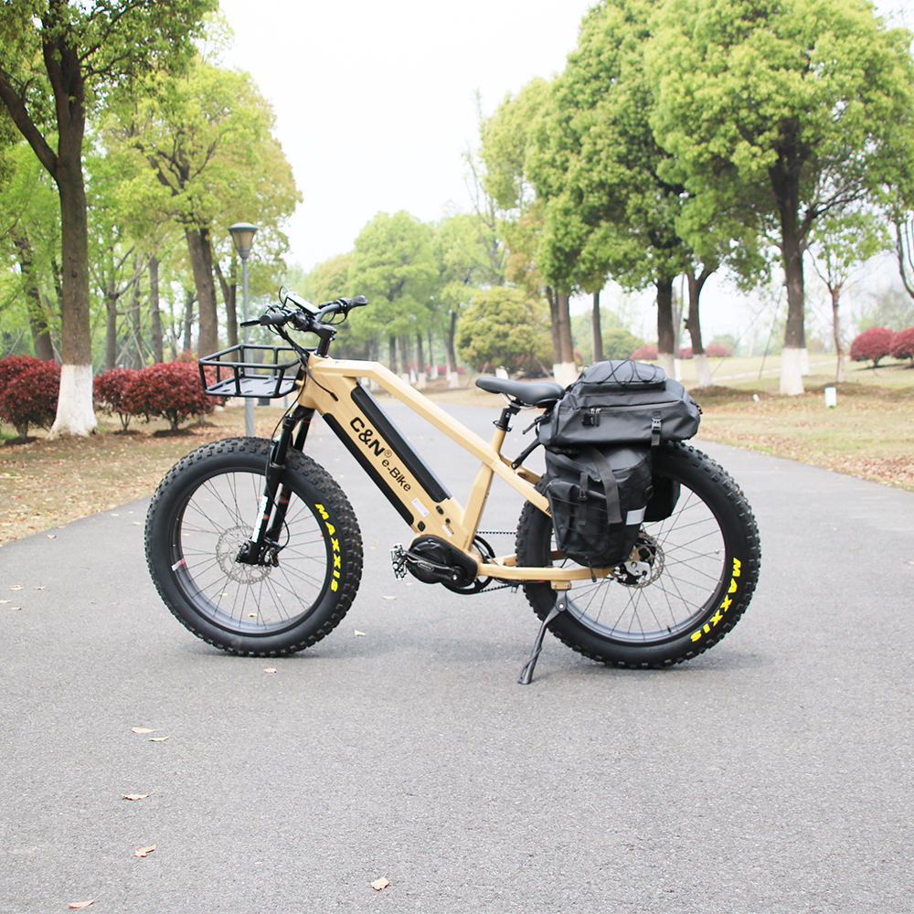 1000w Rohloff 14 speed hub 8 Fun Belt Tire Fat Tire E Bike Two Battery Electric Bicycle