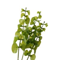 Plantes artificielles de haute qualité au toucher réel, arrangement de table, plantes vertes, fleurs décoratives durables pour la maison, verdure réaliste