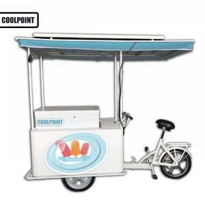 Triciclo Solar para Helados con Panel Solar y Refrigerador, 12V/24V CC, OEM ODM, para Pasajeros y Carga, con Certificación EEC DOT - Product Image 3