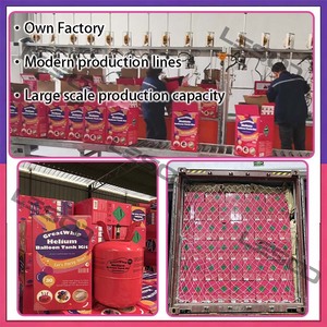 Greatwhip 7L Hélium pour Gonflage de Ballons Haute Pureté pour Mariages – Bouteille de Gaz Hélium pour Ballons - Product Image 5