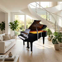 Maison de luxe avec grand piano sous l'escalier