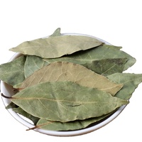Feuilles de Laurier Séchées Naturelles de Qualité Supérieure, Épices Culinaires en Tranches, Emballage Sous Vide en Vrac pour Assaisonnement Alimentaire, Vente en Gros, Meilleure Qualité