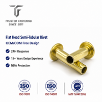Rivets semi-tubulaires à tête plate personnalisés TianFang pour les prototypes de protections de machines d'emballage, finition polie en titane, directement de l'usine