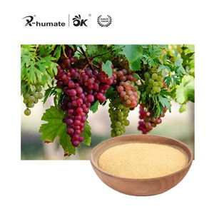 Engrais organique hydrosoluble à base de poudre d'acides aminés et de <span class=keywords><strong>zinc</strong></span> (25 % d'acides aminés chélatés, 12 % de <span class=keywords><strong>zinc</strong></span>) pour l'agriculture - Product Image 6