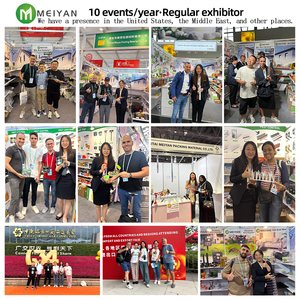 Perangkap Lalat yang Dapat Digunakan Kembali, Perangkap Lalat Luar Ruangan, Perangkap Lebah, Lalat, dan Tawon dari Plastik untuk Taman - Product Image 6