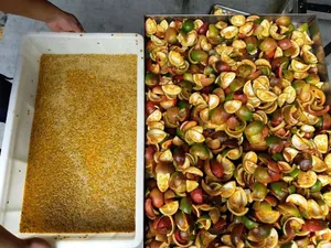 Pelador <span class=keywords><strong>de</strong></span> semillas Industrial <span class=keywords><strong>de</strong></span> <span class=keywords><strong>Granada</strong></span>, máquina peladora <span class=keywords><strong>de</strong></span> pulpa <span class=keywords><strong>de</strong></span> fruta <span class=keywords><strong>de</strong></span> la pasión <span class=keywords><strong>de</strong></span> pomelo - Product Image 3