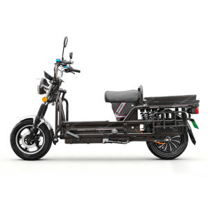 SIGOTECH OEM Ağır Yük Taşıma Elektrikli Motosiklet 72V Pil Uzun Menzil 80km İki Tekerlekli Elektrikli Kargo veya Yiyecek Bisikleti Yetişkinler İçin - Product Image 6