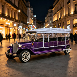 Voiture de tourisme vintage personnalisée de qualité supérieure, avec carrosserie antirouille, véhicule électrique pour opérations de tourisme commercial dans les parcs et les stations balnéaires - Product Image 1