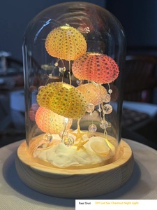 Veilleuse LED 3D DIY en acrylique, motif marron de mer, tulipe, <span class=keywords><strong>fleur</strong></span>, nuage, miroir, décoration de table pour Noël, mariage, fête, cadeau - Product Image 2