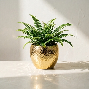 <span class=keywords><strong>Vaso</strong></span> di <span class=keywords><strong>Fiori</strong></span> <span class=keywords><strong>in</strong></span> Ceramica Martellata Placcata Oro, Lussuoso e Moderno, per Arredamento Casa, Soggiorno e Ufficio - Product Image 5