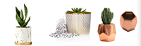 Pot de plantes en marbre pour l'intérieur, jardinière succulente métallique dorée en céramique
