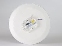 Rvb Changement de Couleur App Contrôle Rond Rgbcw Wifi Tuya Smart Led Plafonnier Tuya Wifi Led Smart Plafonnier pour Maison