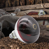 Nouvelle Lampe Chauffante Infrarouge Épaissie pour Élevage 100W/150W/200W/250W, pour Couveuse d'Animaux, Poulets, Porcs, avec Garantie 1 An