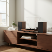 Tourne-disque / Lecteur de disques vinyles