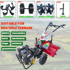 Motoculteur rotatif / Cultivateur rotatif / <span class=keywords><strong>Rotovator</strong></span> multifonction - Product Image 3