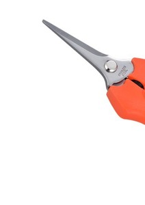 Ciseaux de récolte de fruits de qualité industrielle avec poignée en plastique pour la coupe - Product Image 2